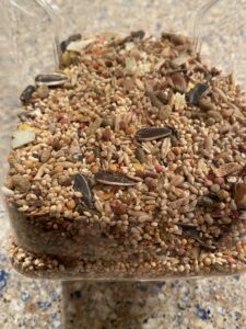 Dormouse Diet Food The Vivarium Store Seed Mixture
