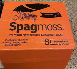 100 Grams New Zealand Moss Bales